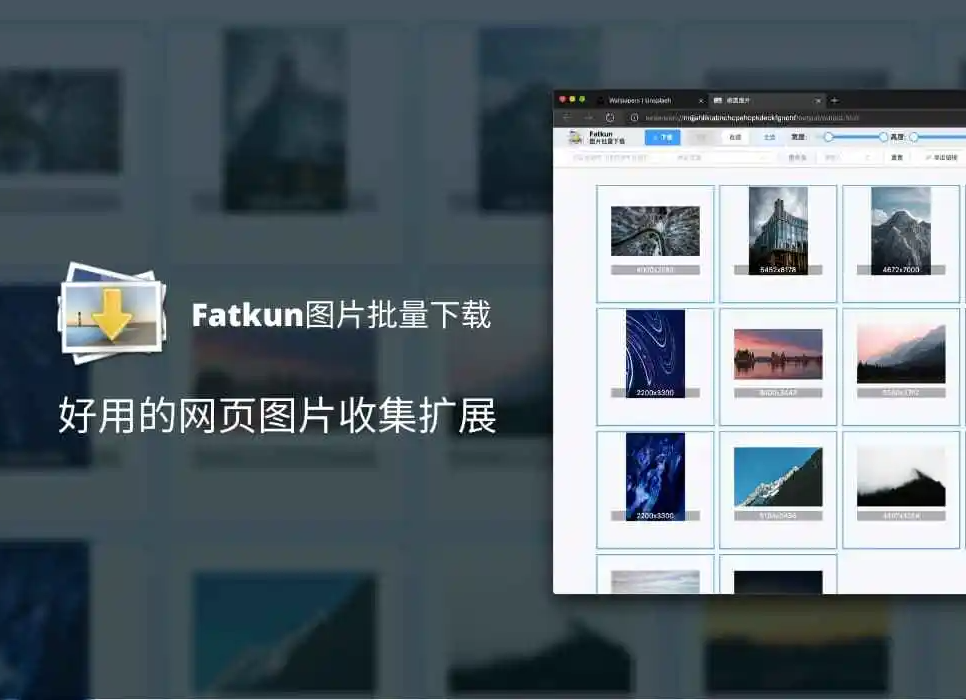 Fatkun插件，网页图片批量下载工具