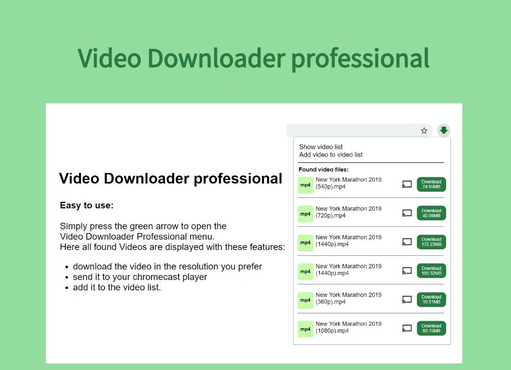 Video Downloader professional插件，网页视频下载工具