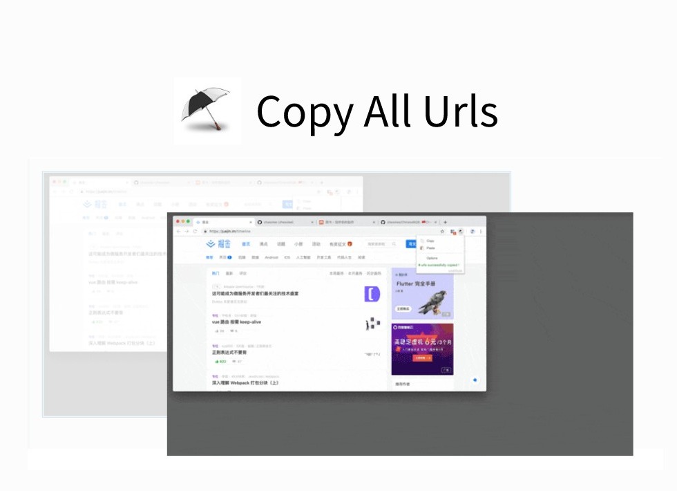 Copy All Urls插件，标签页地址一键批量复制