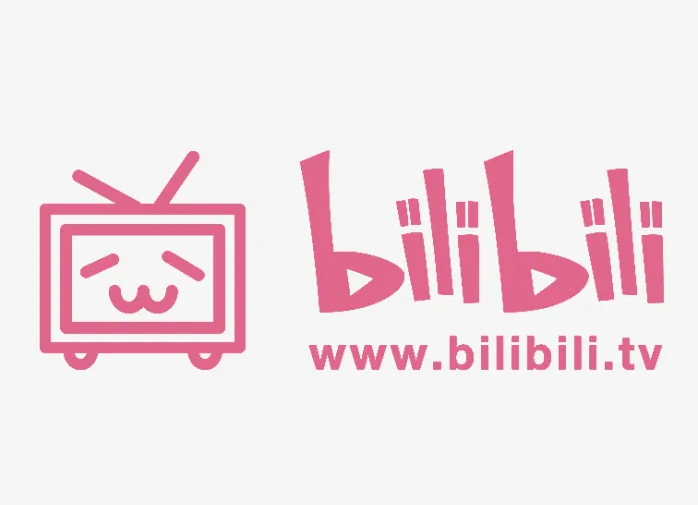 Bilibili Connect插件，B站网页自定义工具