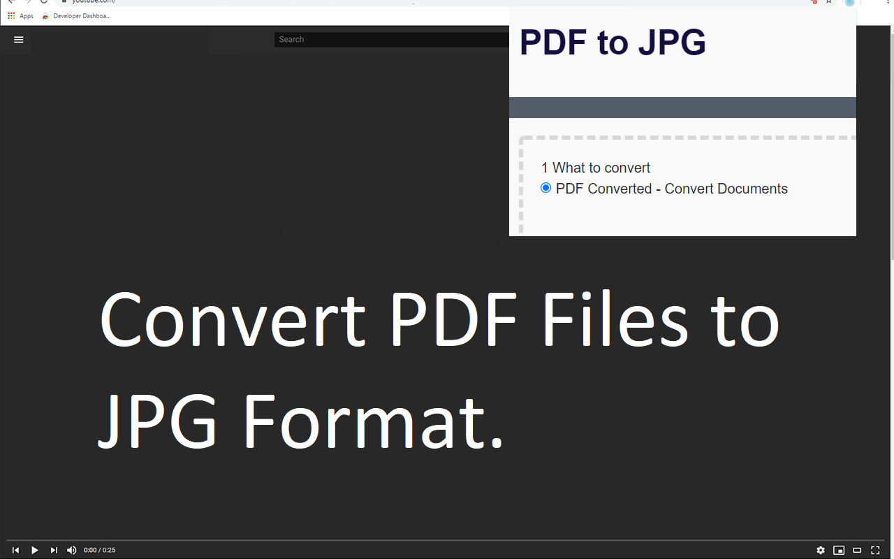 PDF 转 JPG 插件使用教程