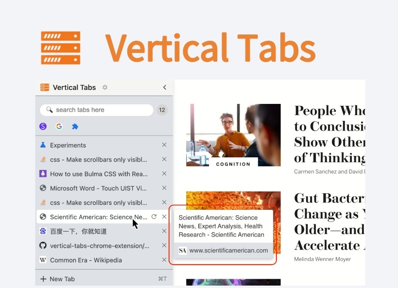 Vertical Tabs插件，垂直显示Chrome浏览器标签页