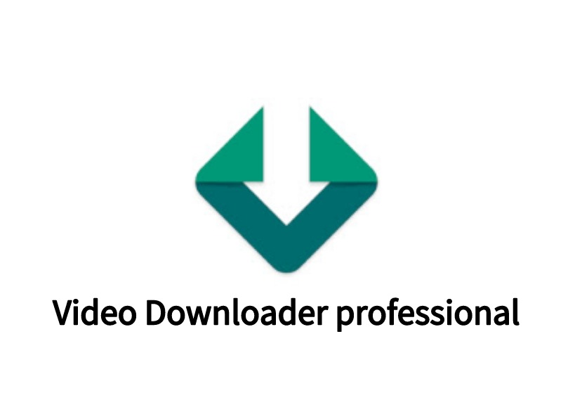 Video Downloader professional插件，可靠的Chrome视频下载器