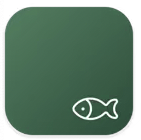 摸鱼单词 语言学习软件  3.9.9